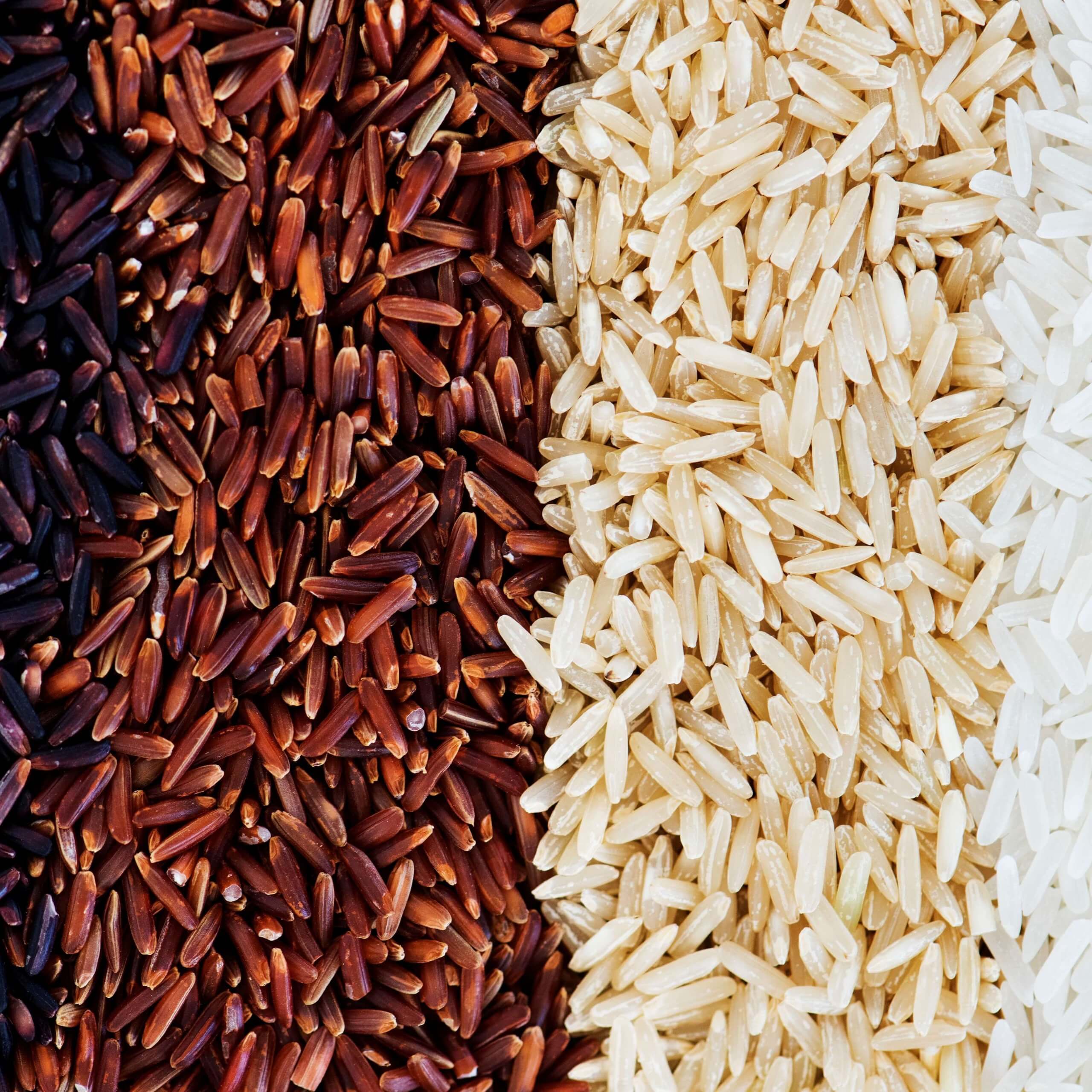 Closeup of mixed rice