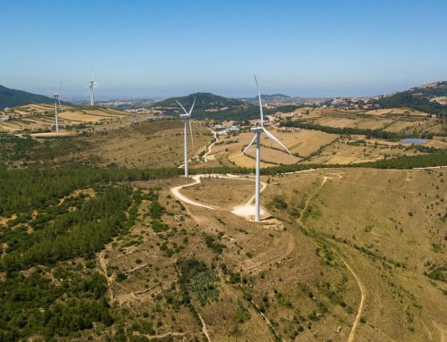 Uso do solo e fixação de carbono em Portugal continental